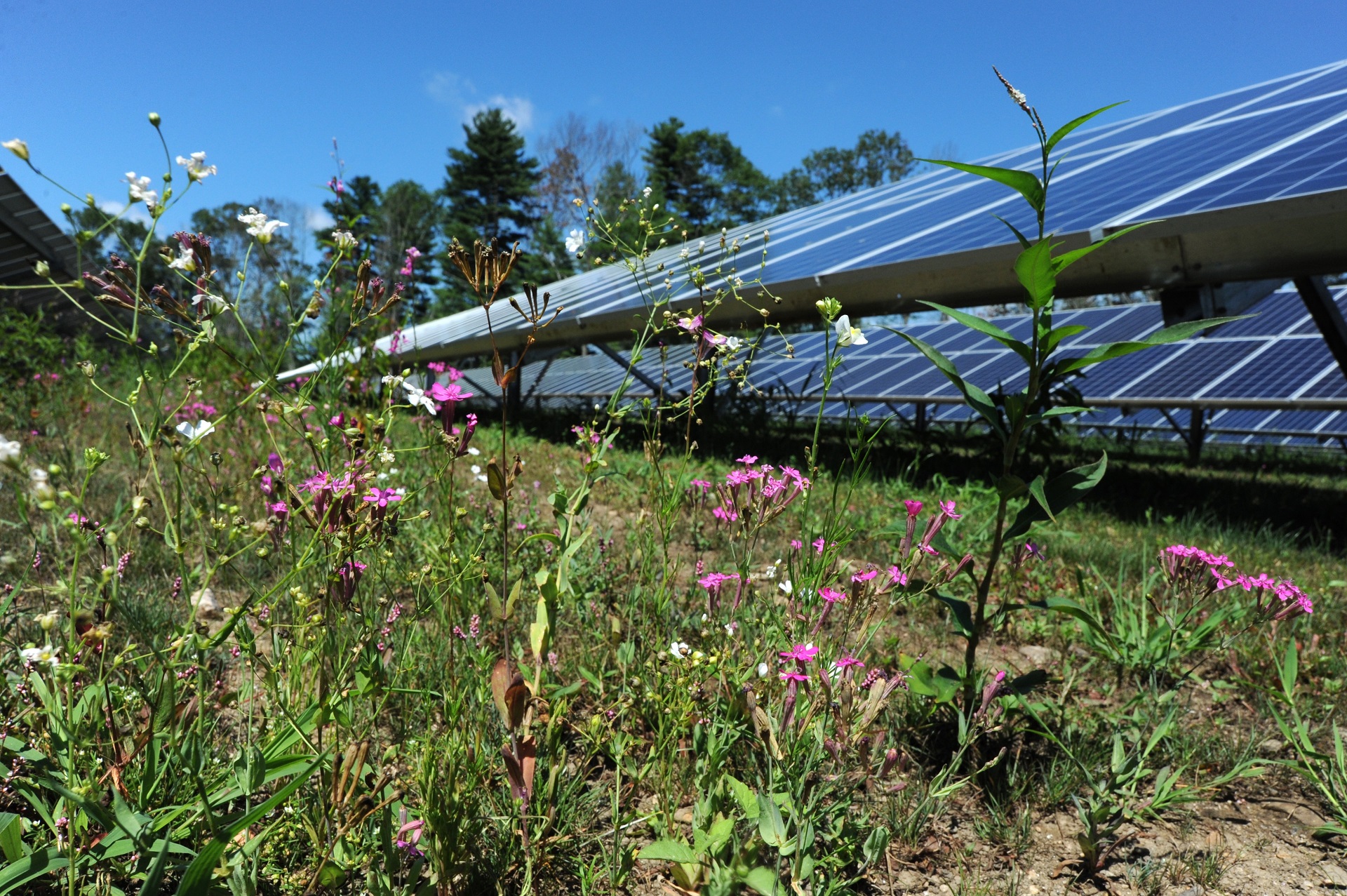 Kingstown Solar